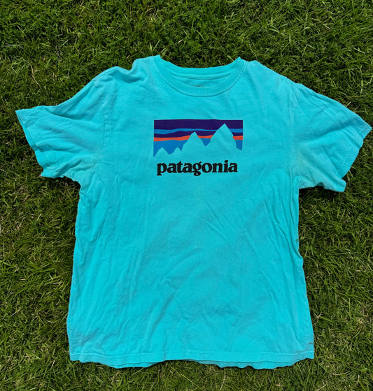 Patagonia Tee